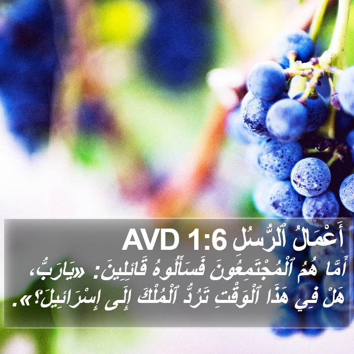 أَعْمَالُ ٱلرُّسُلِ 1:6 AVD Bible Study