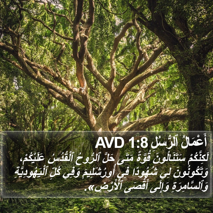 أَعْمَالُ ٱلرُّسُلِ 1:8 AVD Bible Study