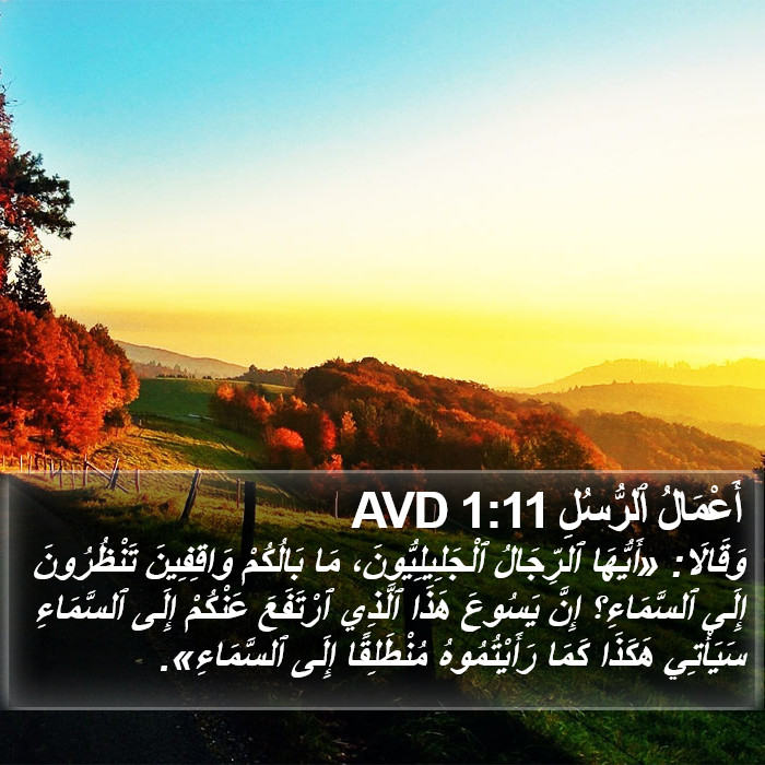 أَعْمَالُ ٱلرُّسُلِ 1:11 AVD Bible Study