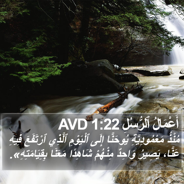 أَعْمَالُ ٱلرُّسُلِ 1:22 AVD Bible Study