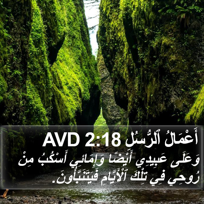 أَعْمَالُ ٱلرُّسُلِ 2:18 AVD Bible Study