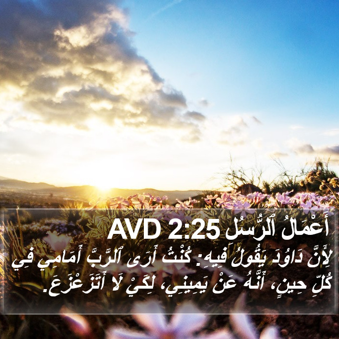 أَعْمَالُ ٱلرُّسُلِ 2:25 AVD Bible Study