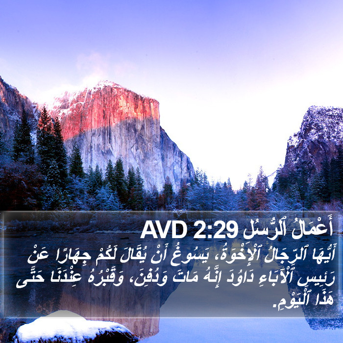 أَعْمَالُ ٱلرُّسُلِ 2:29 AVD Bible Study