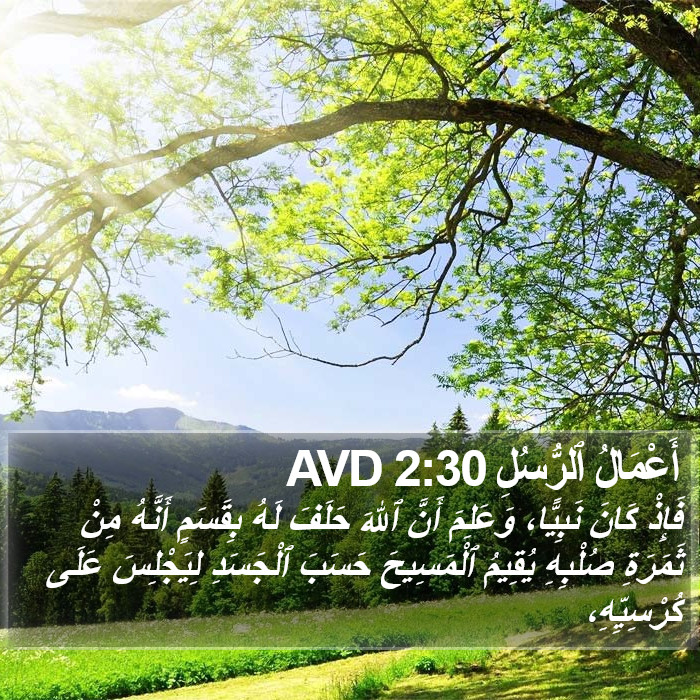 أَعْمَالُ ٱلرُّسُلِ 2:30 AVD Bible Study
