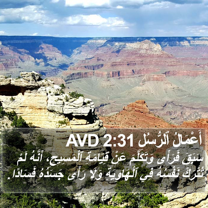 أَعْمَالُ ٱلرُّسُلِ 2:31 AVD Bible Study