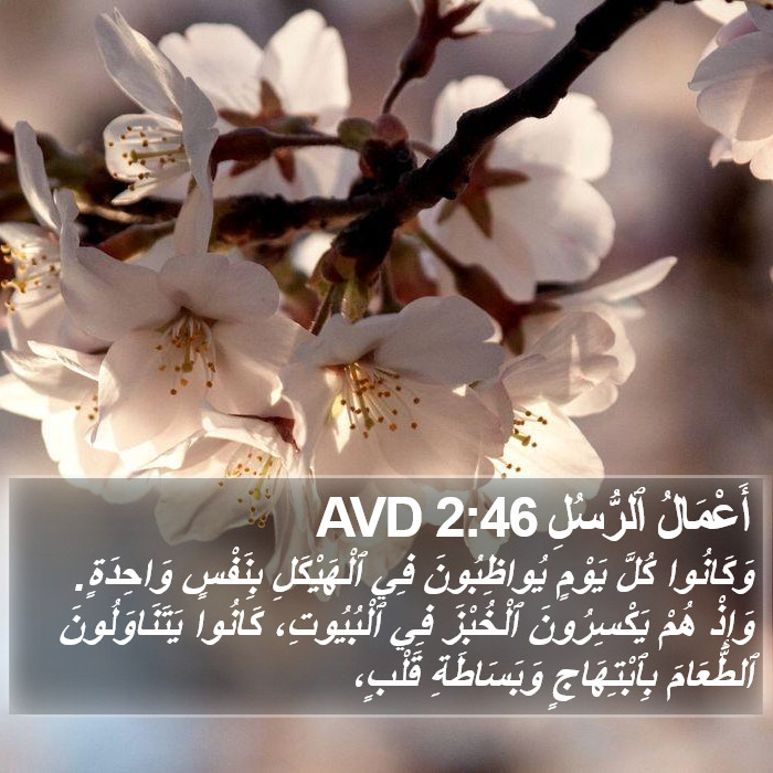 أَعْمَالُ ٱلرُّسُلِ 2:46 AVD Bible Study