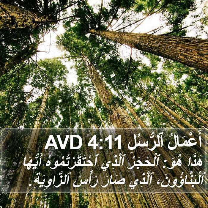 أَعْمَالُ ٱلرُّسُلِ 4:11 AVD Bible Study