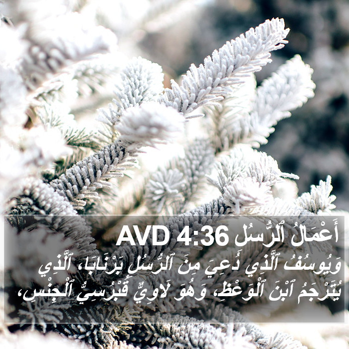 أَعْمَالُ ٱلرُّسُلِ 4:36 AVD Bible Study