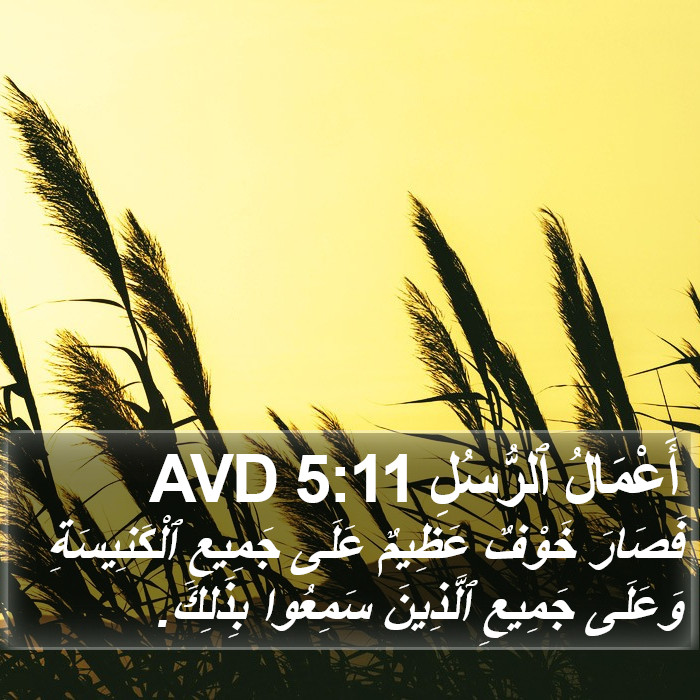 أَعْمَالُ ٱلرُّسُلِ 5:11 AVD Bible Study