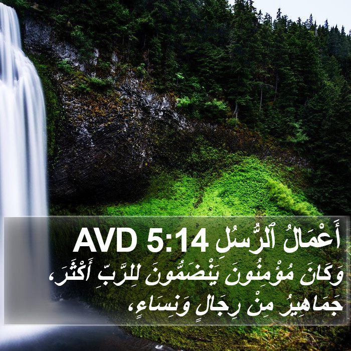 أَعْمَالُ ٱلرُّسُلِ 5:14 AVD Bible Study