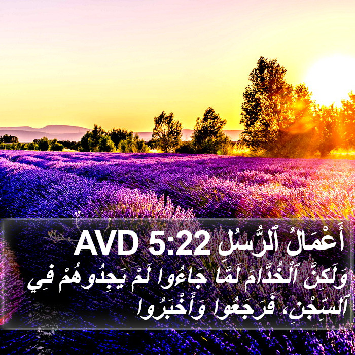 أَعْمَالُ ٱلرُّسُلِ 5:22 AVD Bible Study