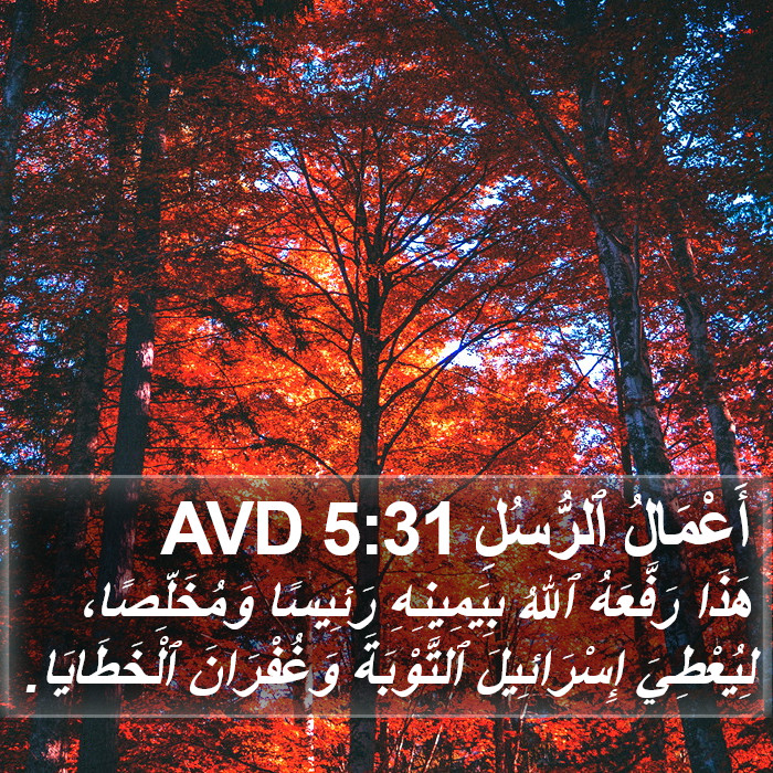 أَعْمَالُ ٱلرُّسُلِ 5:31 AVD Bible Study