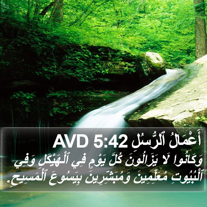 أَعْمَالُ ٱلرُّسُلِ 5:42 AVD Bible Study