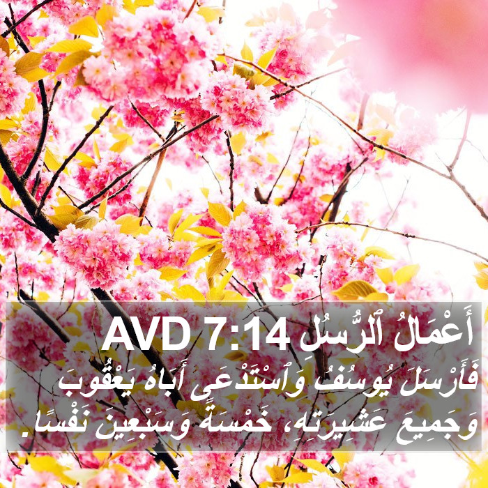 أَعْمَالُ ٱلرُّسُلِ 7:14 AVD Bible Study