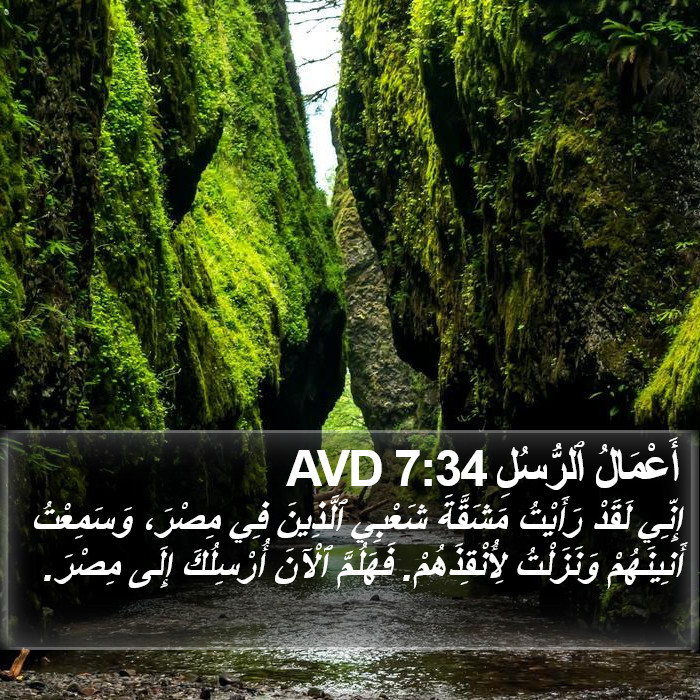أَعْمَالُ ٱلرُّسُلِ 7:34 AVD Bible Study
