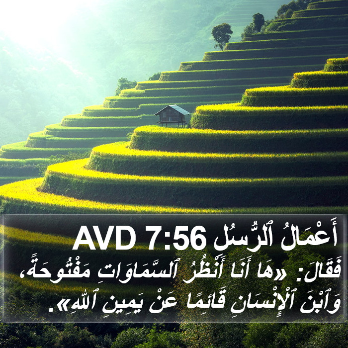 أَعْمَالُ ٱلرُّسُلِ 7:56 AVD Bible Study