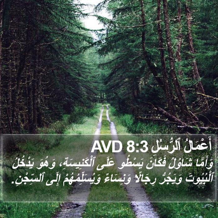 أَعْمَالُ ٱلرُّسُلِ 8:3 AVD Bible Study