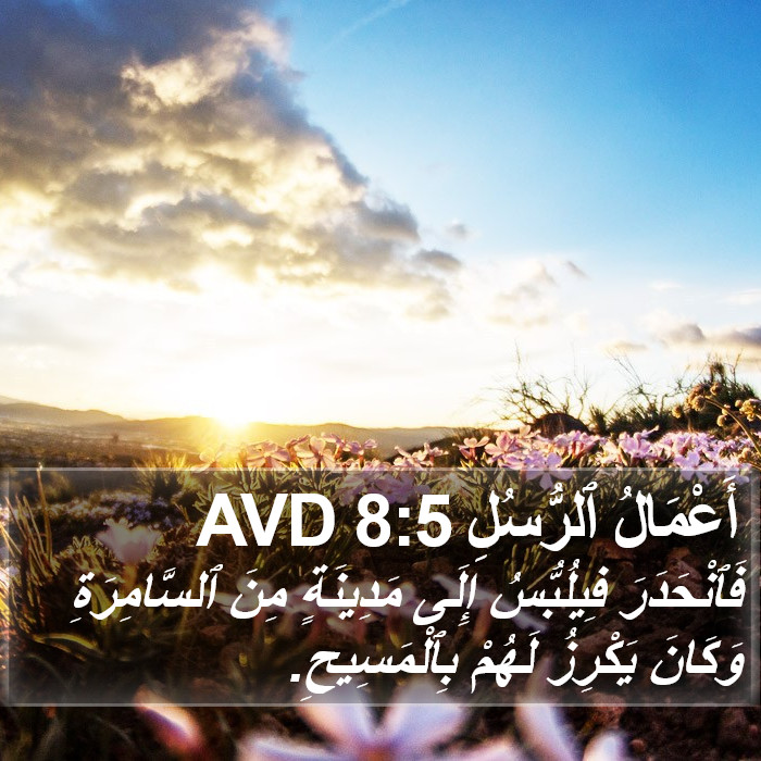 أَعْمَالُ ٱلرُّسُلِ 8:5 AVD Bible Study