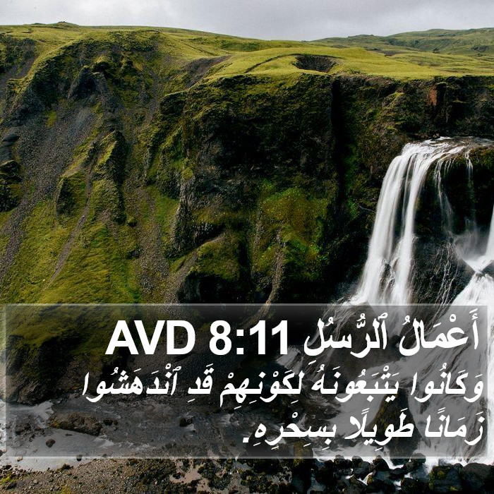 أَعْمَالُ ٱلرُّسُلِ 8:11 AVD Bible Study