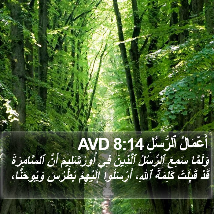 أَعْمَالُ ٱلرُّسُلِ 8:14 AVD Bible Study