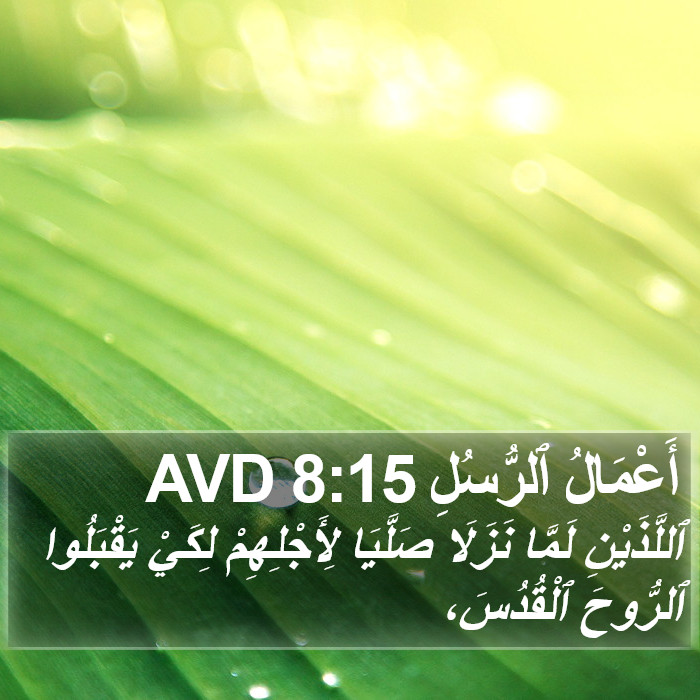 أَعْمَالُ ٱلرُّسُلِ 8:15 AVD Bible Study