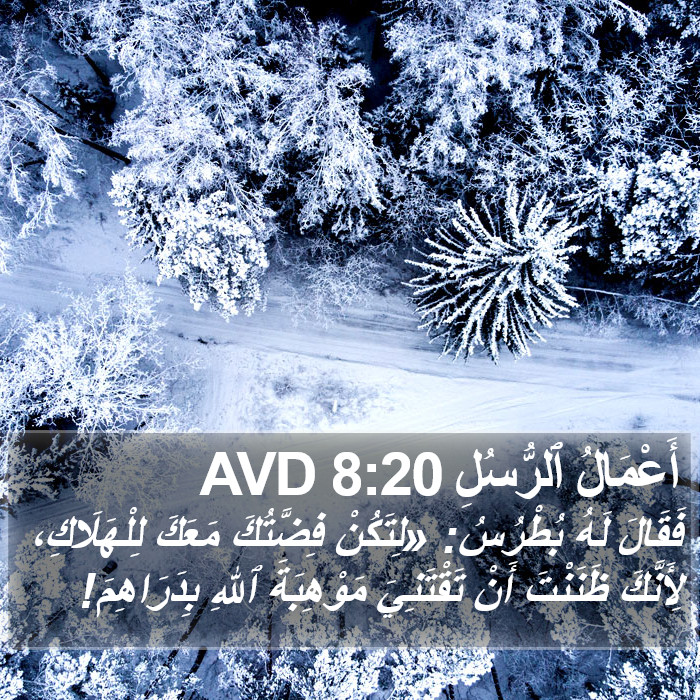 أَعْمَالُ ٱلرُّسُلِ 8:20 AVD Bible Study