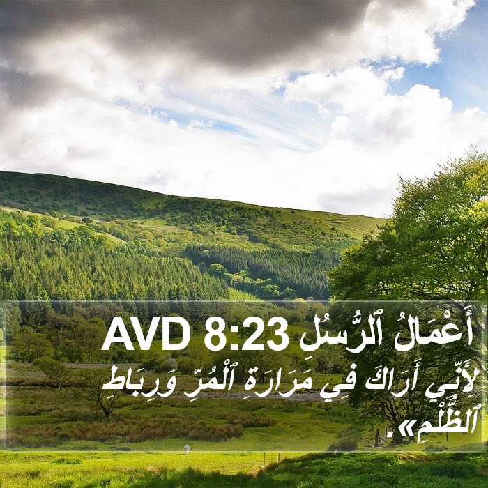 أَعْمَالُ ٱلرُّسُلِ 8:23 AVD Bible Study