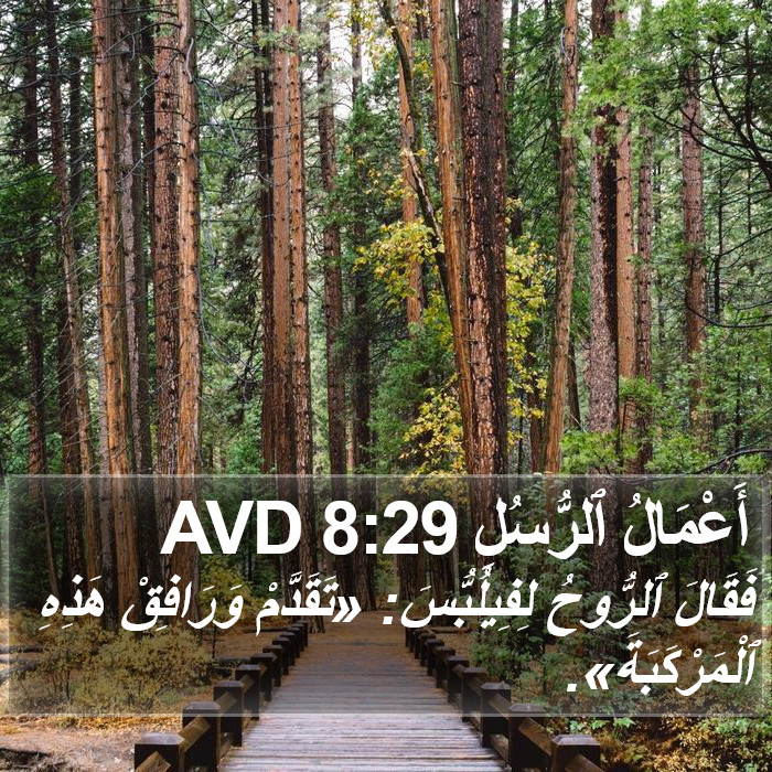 أَعْمَالُ ٱلرُّسُلِ 8:29 AVD Bible Study