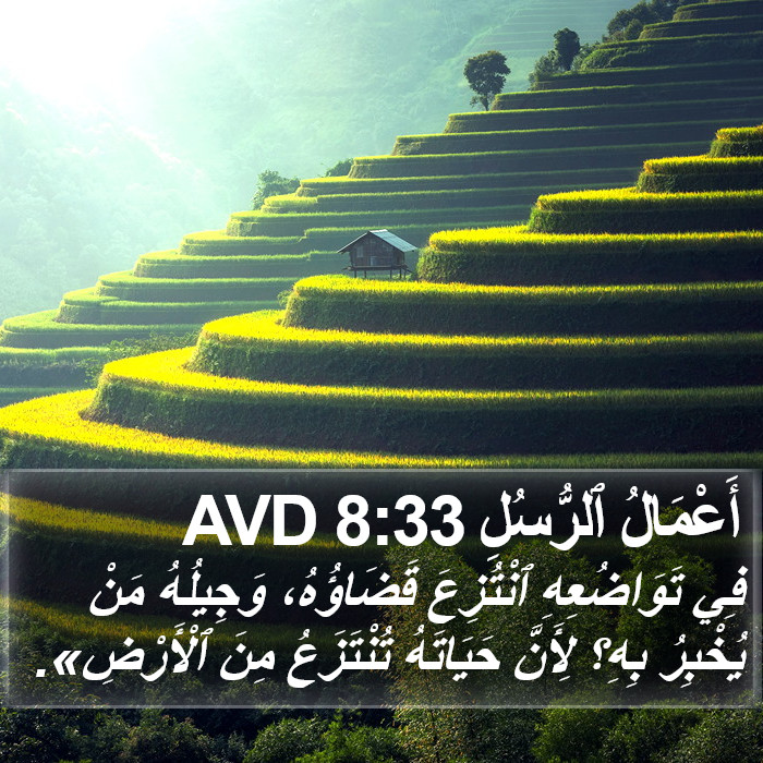 أَعْمَالُ ٱلرُّسُلِ 8:33 AVD Bible Study