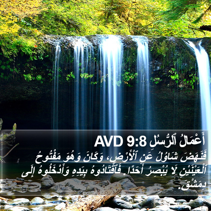 أَعْمَالُ ٱلرُّسُلِ 9:8 AVD Bible Study