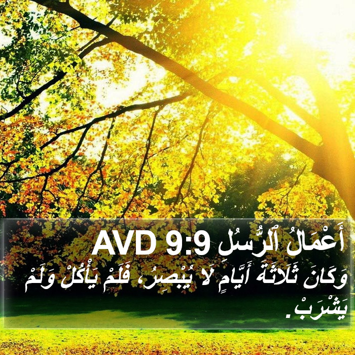 أَعْمَالُ ٱلرُّسُلِ 9:9 AVD Bible Study