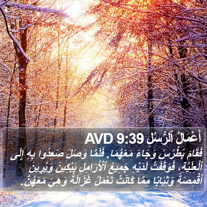 أَعْمَالُ ٱلرُّسُلِ 9:39 AVD Bible Study