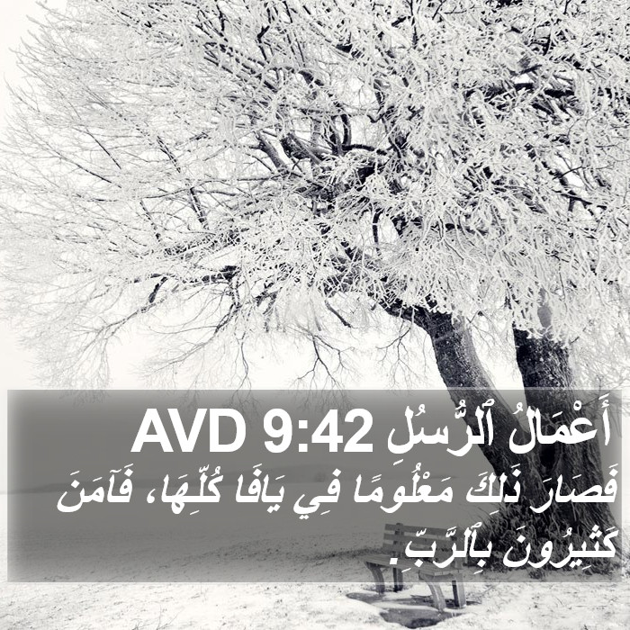 أَعْمَالُ ٱلرُّسُلِ 9:42 AVD Bible Study