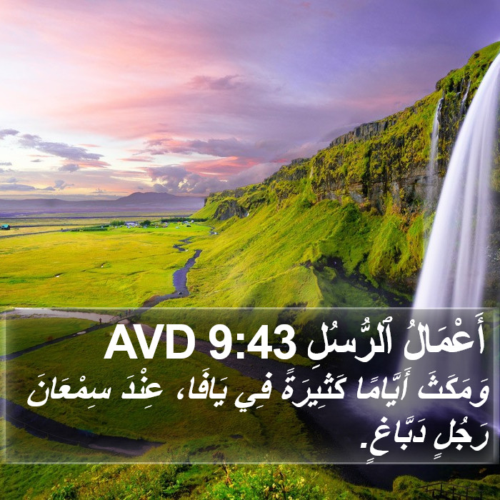 أَعْمَالُ ٱلرُّسُلِ 9:43 AVD Bible Study