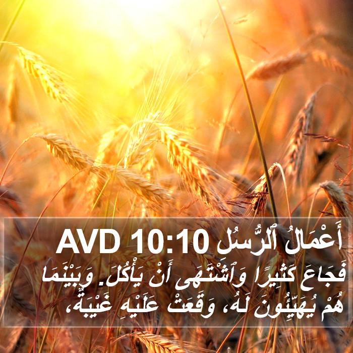 أَعْمَالُ ٱلرُّسُلِ 10:10 AVD Bible Study