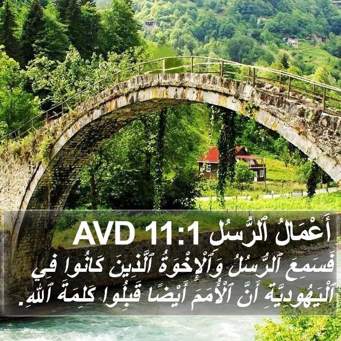 أَعْمَالُ ٱلرُّسُلِ 11:1 AVD Bible Study