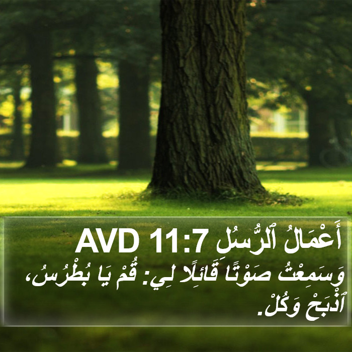 أَعْمَالُ ٱلرُّسُلِ 11:7 AVD Bible Study