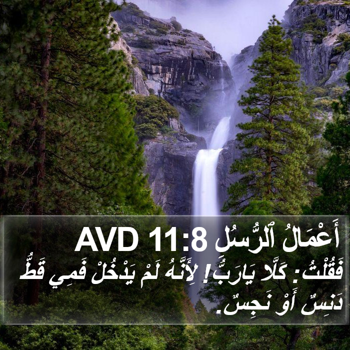 أَعْمَالُ ٱلرُّسُلِ 11:8 AVD Bible Study