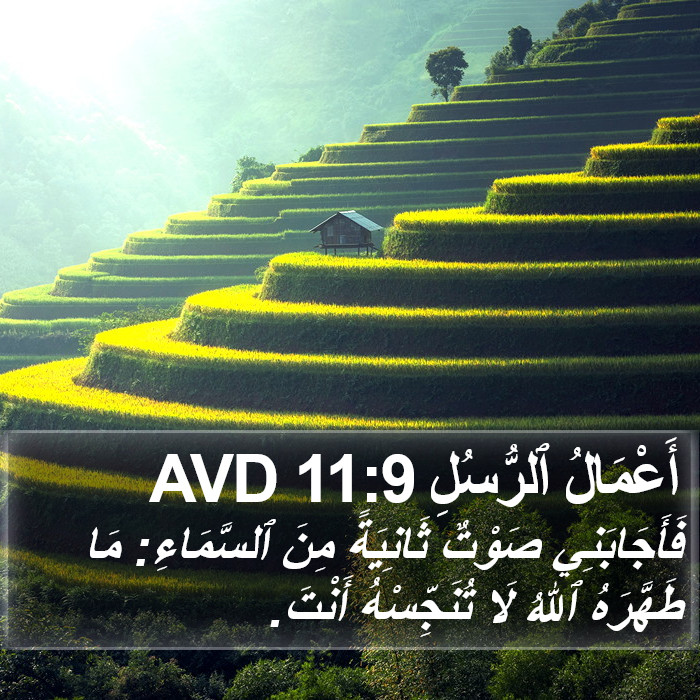 أَعْمَالُ ٱلرُّسُلِ 11:9 AVD Bible Study
