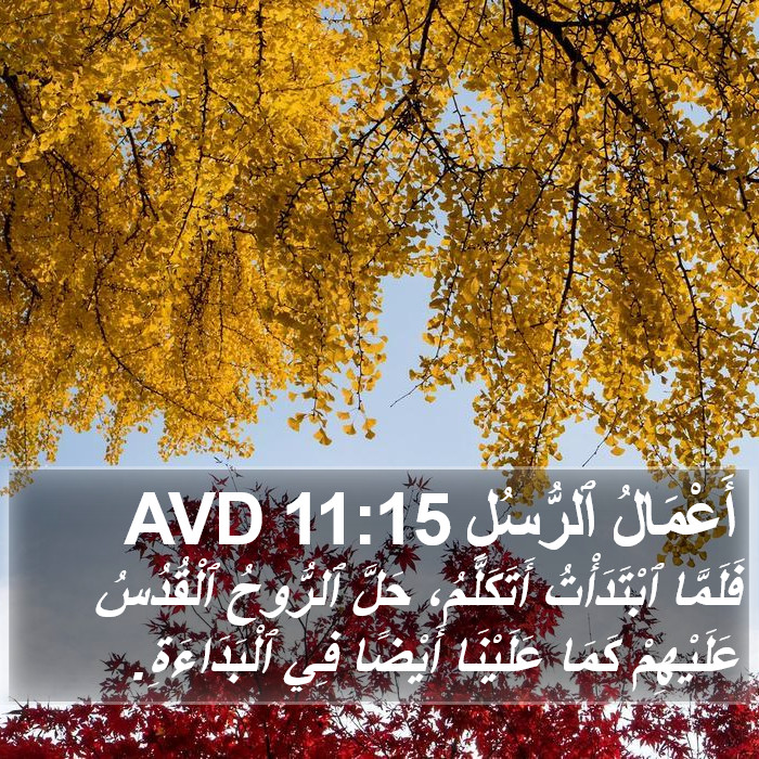 أَعْمَالُ ٱلرُّسُلِ 11:15 AVD Bible Study
