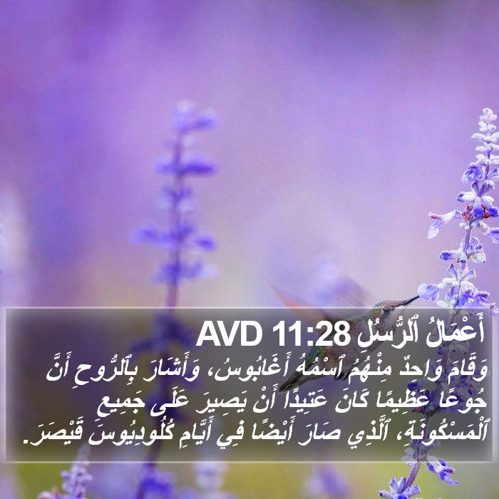 أَعْمَالُ ٱلرُّسُلِ 11:28 AVD Bible Study