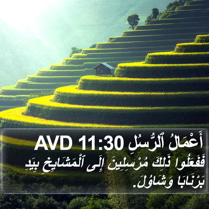 أَعْمَالُ ٱلرُّسُلِ 11:30 AVD Bible Study