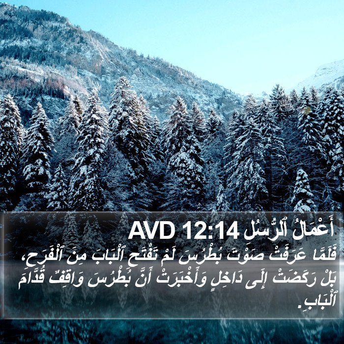 أَعْمَالُ ٱلرُّسُلِ 12:14 AVD Bible Study