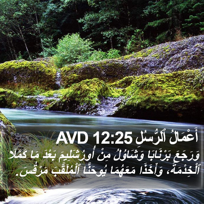 أَعْمَالُ ٱلرُّسُلِ 12:25 AVD Bible Study