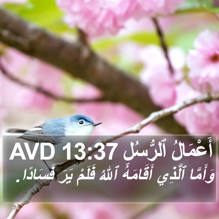أَعْمَالُ ٱلرُّسُلِ 13:37 AVD Bible Study