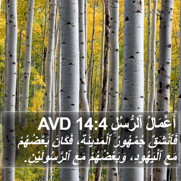 أَعْمَالُ ٱلرُّسُلِ 14:4 AVD Bible Study