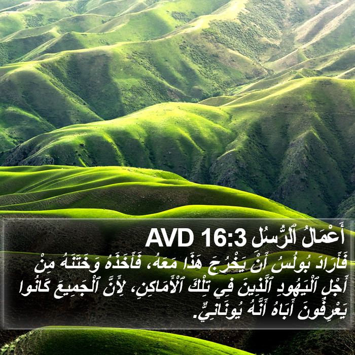أَعْمَالُ ٱلرُّسُلِ 16:3 AVD Bible Study