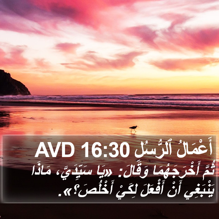 أَعْمَالُ ٱلرُّسُلِ 16:30 AVD Bible Study