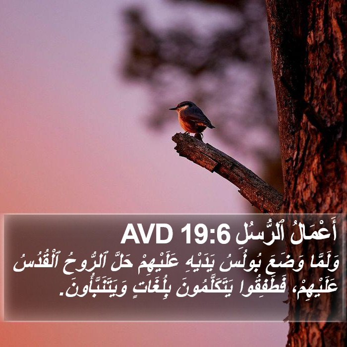 أَعْمَالُ ٱلرُّسُلِ 19:6 AVD Bible Study