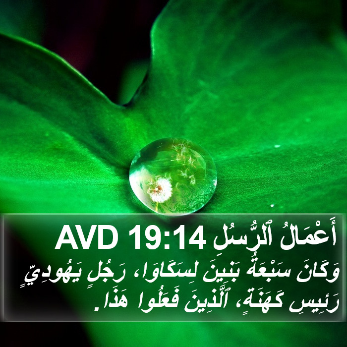 أَعْمَالُ ٱلرُّسُلِ 19:14 AVD Bible Study